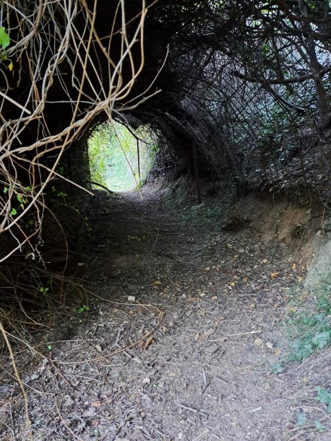 Casa Rural La Bodega, Ofrece Cata De Vino Gratis Horche Exteriör bild